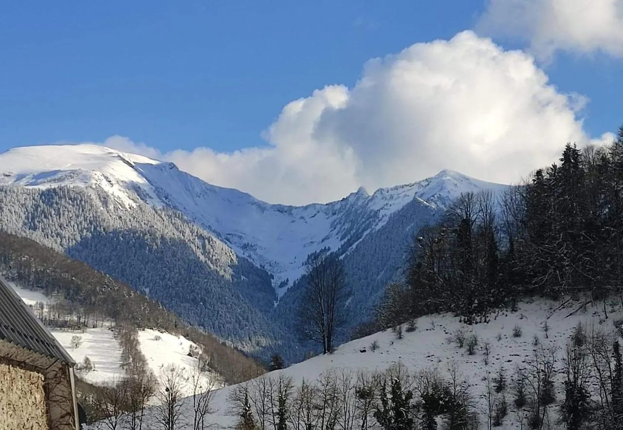 Le Chalet Des Nounours Boutx